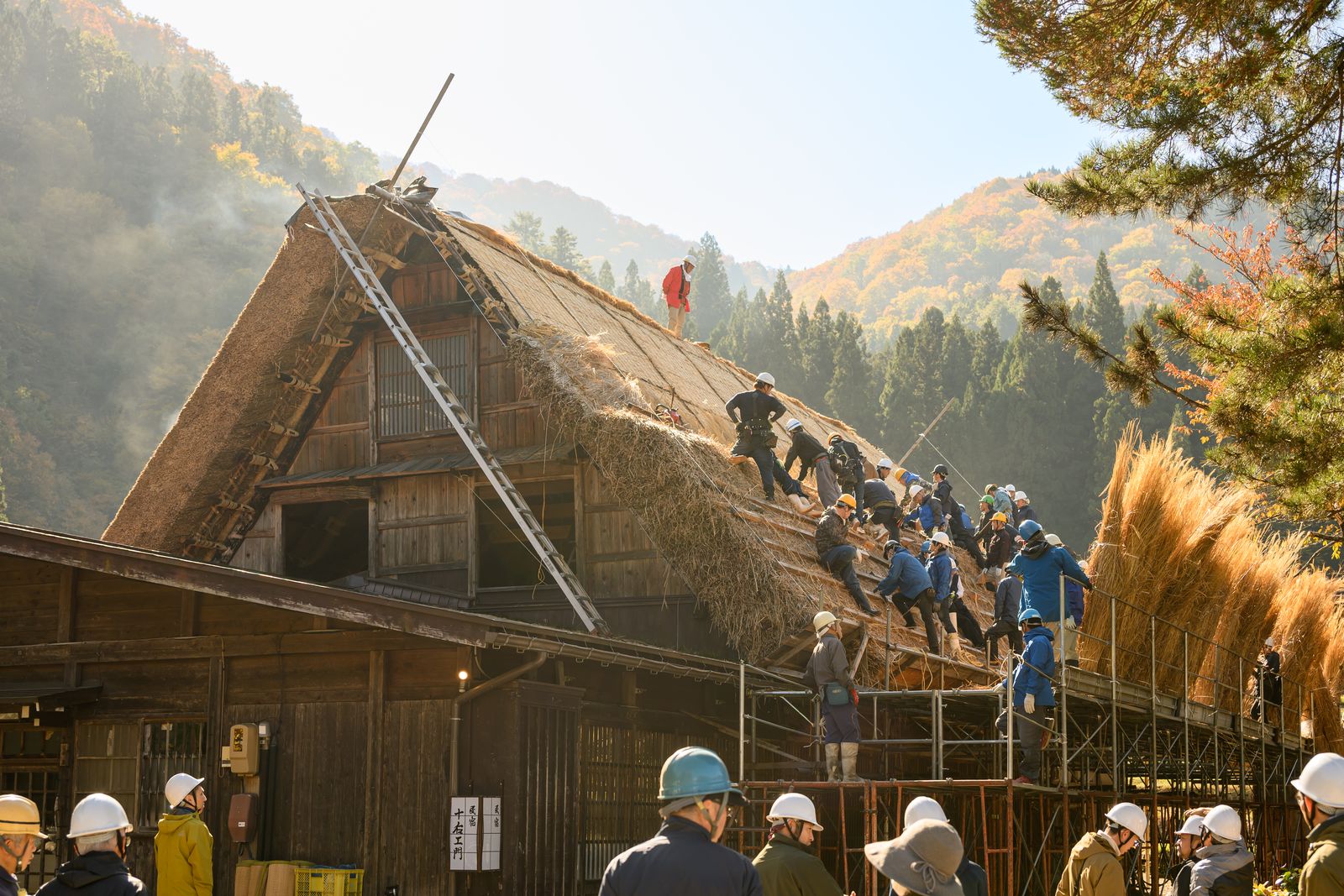合掌造りの屋根を葺き替える人々